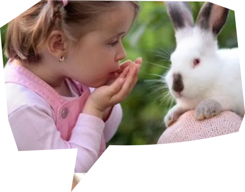 Живой уголок